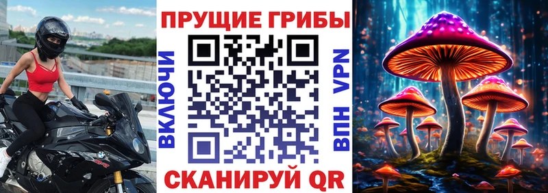 Галлюциногенные грибы мицелий  купить   мориарти состав  Ангарск 